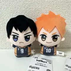 ハイキュー!! Chibiぬいぐるみ　日向 翔陽 Amazon.co.jp: ハイキュー!! 日向翔陽 Chibiぬいぐるみ : おもちゃ
