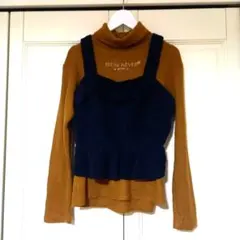 Item thumbnail for item 18d66ca8-e85c-46d3-b899-3e4e06f2f0a4