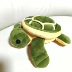 カメキングジュニア 砂金亀 - メルカリ