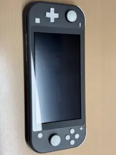 【美品】Nintendo Switch Lite グレー ケース付き