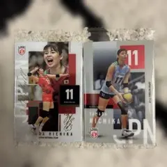 バレーボール 女子日本代表 トレーディングカード 2枚セット