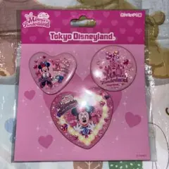 【カンバッジ】ディズニー パルパルーザ ミニーのファンダーランド