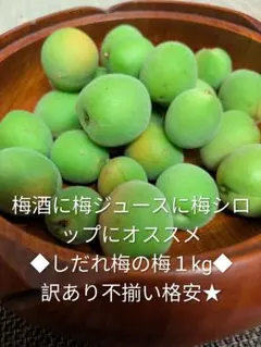 貴重★しだれ梅の梅１kg完全無農薬訳あり不揃いの為格安★のサムネイル