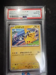2025年最新】ピカチュウ psa10 スカーレットの人気アイテム