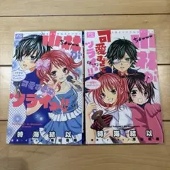 小林が可愛すぎてツライっ 小説 2冊セット
