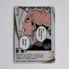 【最安値】ハイキュー バボカ 宮侑 頂P