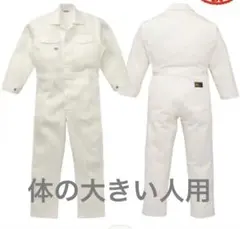 Item thumbnail for item 9b2a90ce-98d7-4491-bdf3-4863b3450481