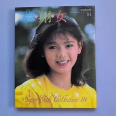 宇宙船別冊スーパーギャルズ・コレクション´84「夢・翔・女」1984年
