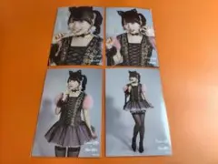 布袋百椛　AKB48 大丸東京店 大衣装展 ランダム生写真 4種コンプ　猫