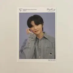 ウジ SEVENTEEN ファンクラブ カラモバ W会員 特典