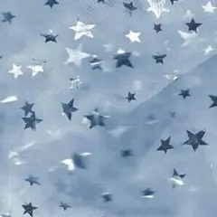 ほしぴゅーま様専用ページ