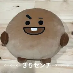 【公式・美品】BT21 SHOOKY フェイスクッション シューキー BTS