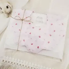 Item thumbnail for item 2b2cf8f3-7455-4ee6-a2ba-556c86f17d57