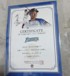 Item thumbnail for item ff945b5d-ff4f-453b-859b-198338e0dbd1