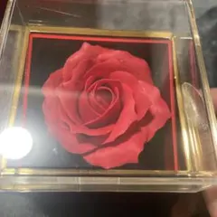 ❤️廃盤 レア❤️オールオブミーインハート❤️オードパフューム