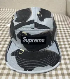 Supreme Damien Hirst Camp Cap 