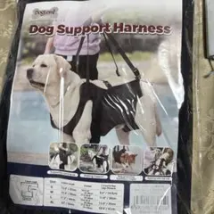 Item thumbnail for item e1cb51be-dce2-4d01-9b1e-a8699498c588