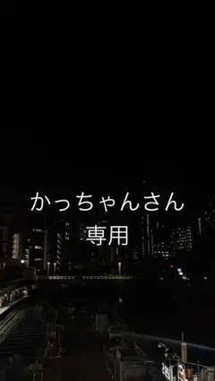 iPhone 15 Pro Max 512GB ケース付き