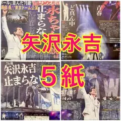 5紙セット 矢沢永吉 50周年記念公演 東京ドーム 2025年11月10日
