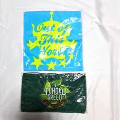 2枚セット　トイ・ストーリー　ハンドタオル　楽天イーグルス　タオル　グリーン