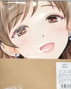 DOAXVV クリアファイル みさき DMMスクラッチ C賞 - メルカリ