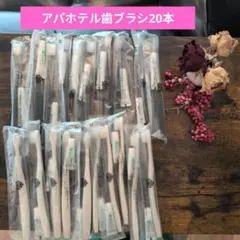 アパホテル歯ブラシ 20本セット