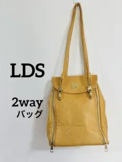 LDS エルディーエス❣️2wayバッグ（リュック　肩掛け）ペガサス