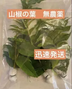 2026年最新】山椒の葉無農薬の人気アイテム - メルカリ