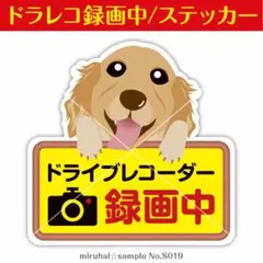 Item thumbnail for item ef81f000-cdbd-442d-8923-326fd53bf9bd