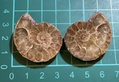 Item thumbnail for item 219ebe68-938d-4644-a634-5041611bfc79