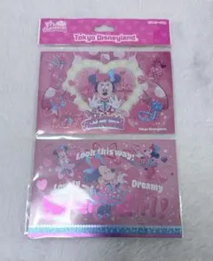 ディズニーパルパルーザ　ミニーのファンダーランド　ポストカード2枚セット