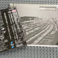 【国内盤CD】スクエアプッシャー / バーニン・トゥリー