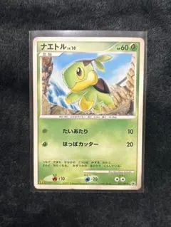 2026年最新】ナエトル プロモの人気アイテム - メルカリ