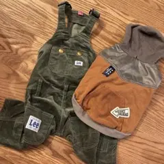 Item thumbnail for item ba700f98-cb59-4cae-9ff7-0148326e408b