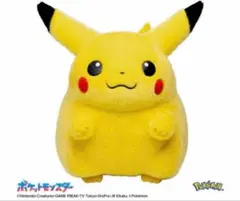 新品　ポケモン30周年記念おかえり!ピカチュウ1/1