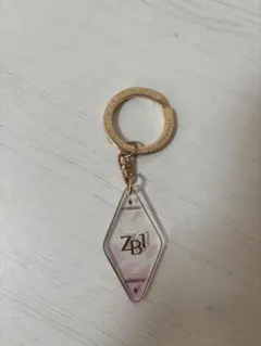 ♡R指定 カラビナ付きキーホルダー Z♡ - メルカリ