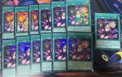 黒魔導のカーテン【遊戯王】　13枚セット