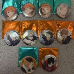 劇場版ハイキュー!! トレーディング缶バッジ10点セット