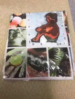 Supreme 19SS Original Sin TeeTシャツ シュプリーム