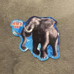 でん様専用！最強王図鑑ステッカー