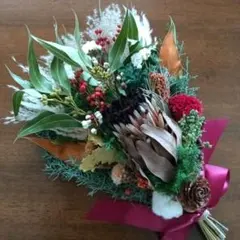 プロテアニオベとクエキフォリア、木の実と針葉樹のスワッグ　49cm［653]