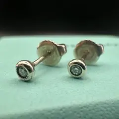 2026年最新】ティファニー バイザヤード ピアスの人気アイテム - メルカリ