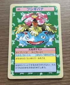 2026年最新】トップサン フシギバナの人気アイテム - メルカリ