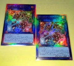 遊戯王 BLZD 四花繚乱の霊使い(レリーフ) 2枚セット 美品〜中品
