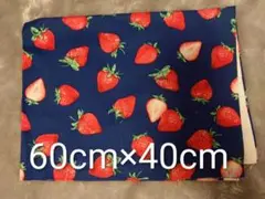 96★いちご柄 ネイビー生地 60cm×40cm