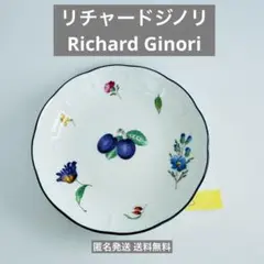 2025年最新】リチャードジノリ 深皿の人気アイテム - メルカリ