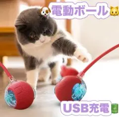 Item thumbnail for item 558b88b1-207b-459b-9b3d-85d8d42c47c9