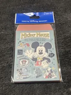 東京ディズニーリゾート　⭐︎封筒ミニ⭐︎