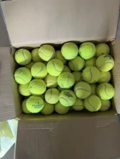 Item thumbnail for item d97a4304-a0ed-4403-99d5-b51c4ec12c44