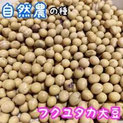 かわちゃん様 リクエスト 3点 まとめ商品